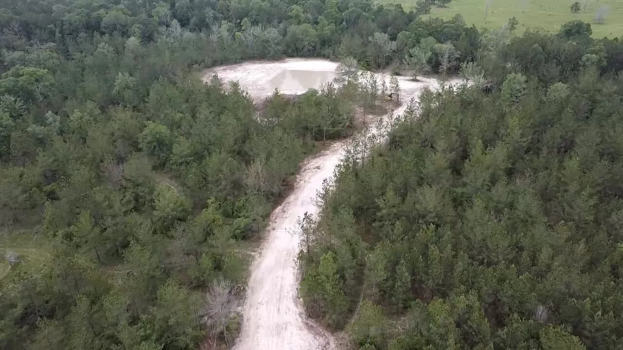 Winding sand access road cut through the pines