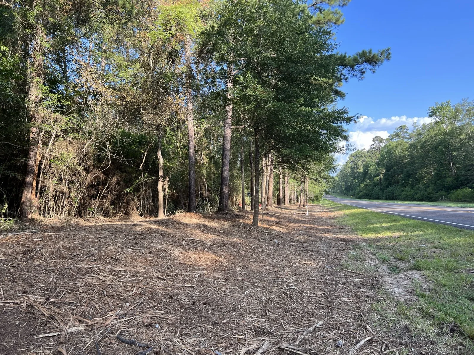 Brush Clearing in Buna, TX