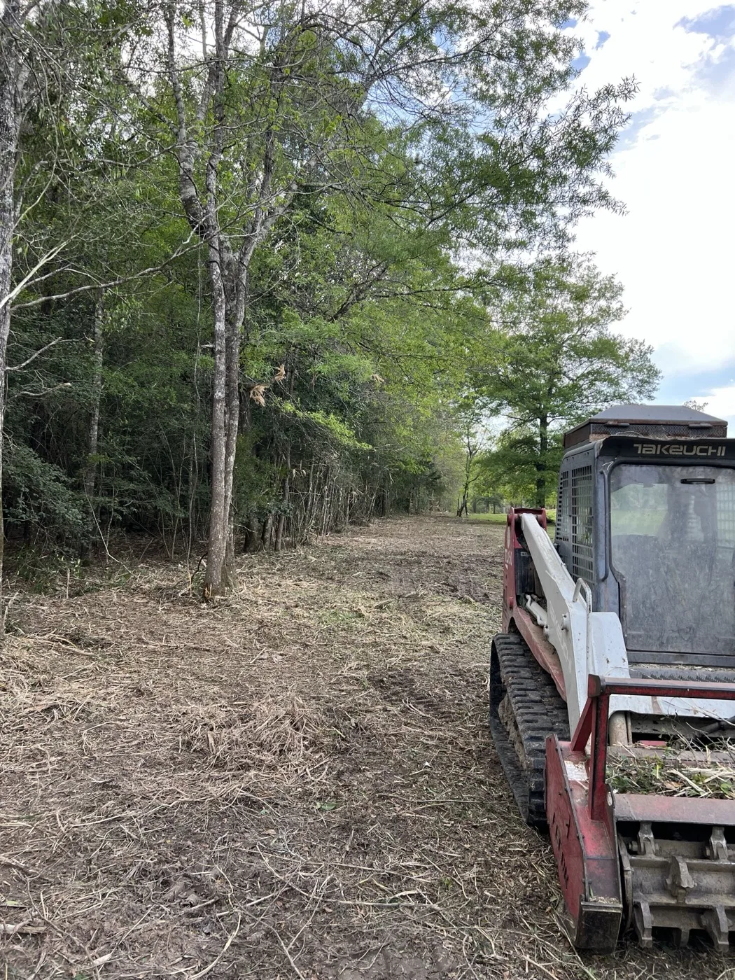 Forestry Mulching in Buna, TX