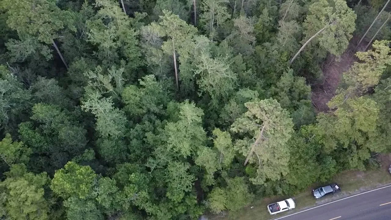 Dense wooded lot from above, before clearing
